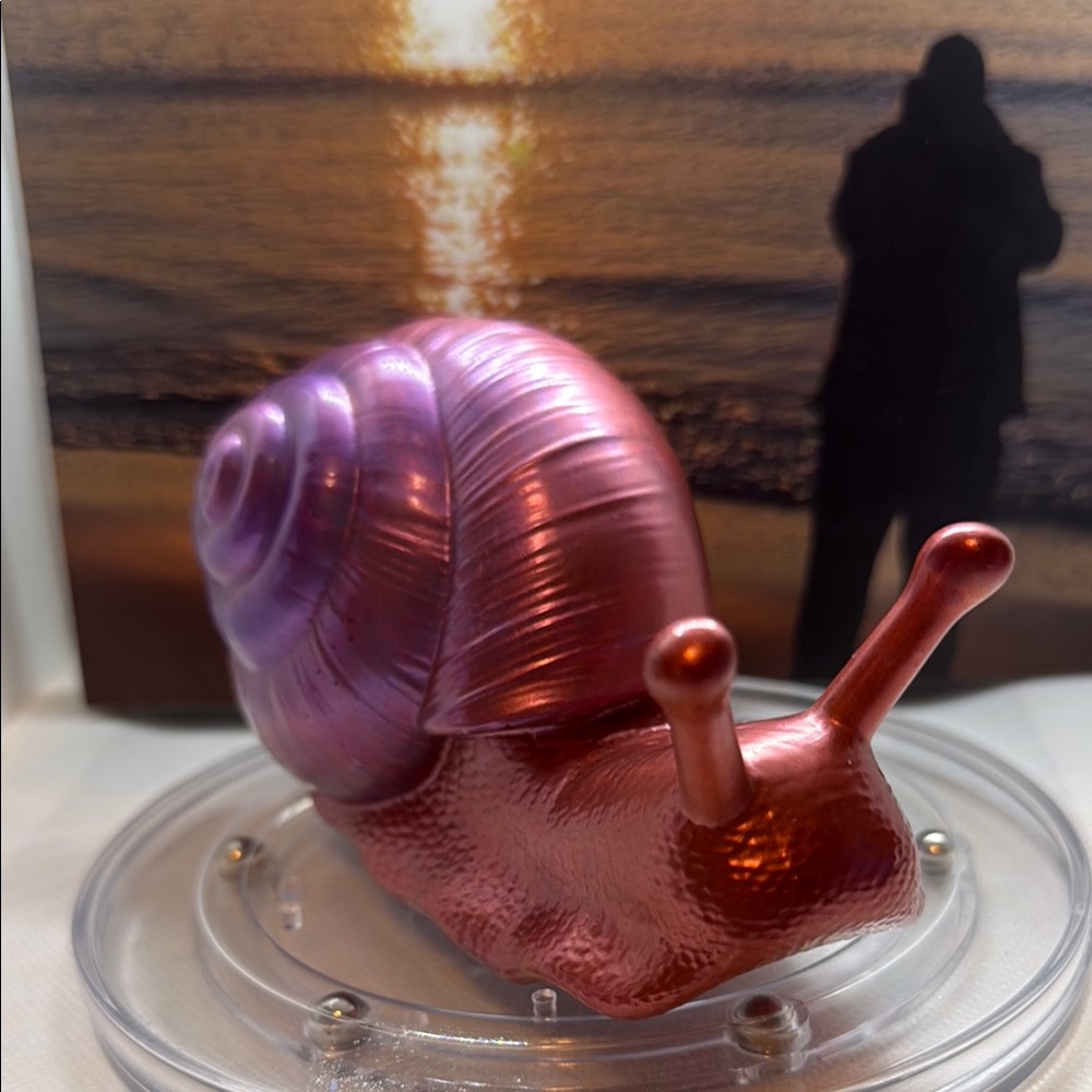 A Unique Resin Piece ,Snail Art